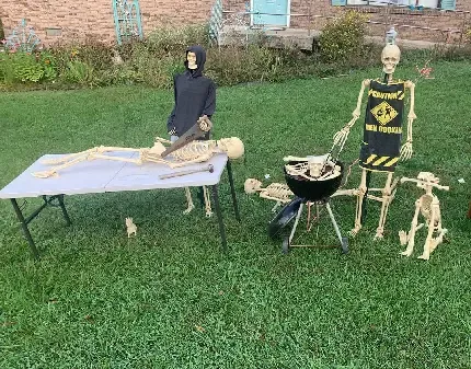  دانلود عکس اسکلت خفن