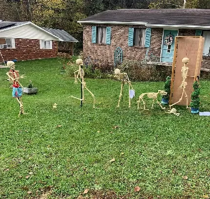  دانلود عکس اسکلت خفن