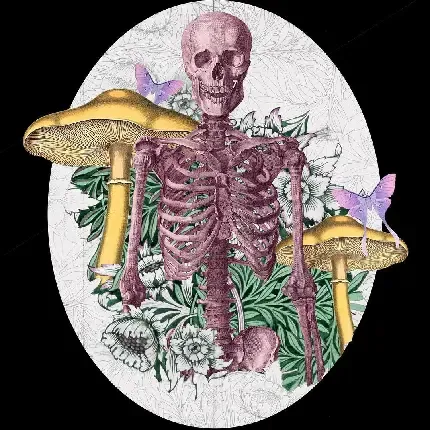  دانلود عکس اسکلت خفن