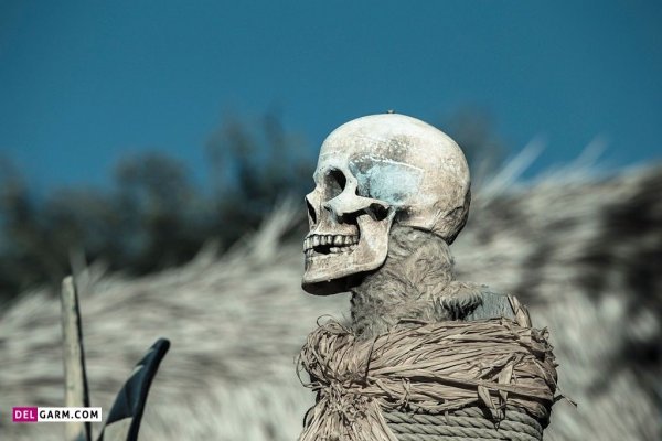  عکس اسکلت ترسناک برای پروفایل