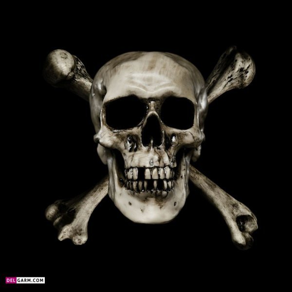  عکس اسکلت ترسناک برای پروفایل