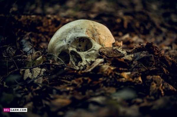  عکس اسکلت ترسناک برای پروفایل