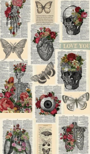  عکس اسکلت ترسناک برای پروفایل