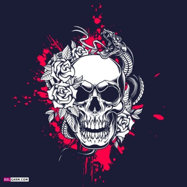  عکس اسکلت ترسناک برای پروفایل