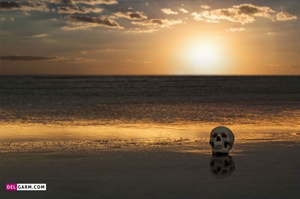  عکس اسکلت ترسناک برای پروفایل