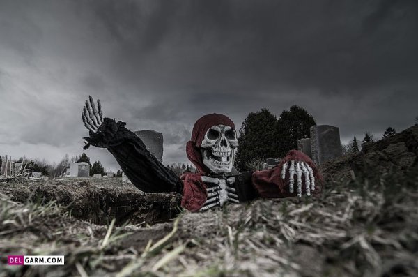  عکس اسکلت خفن برای پس زمینه