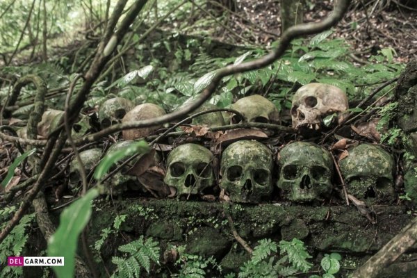  عکس اسکلت خفن برای پس زمینه