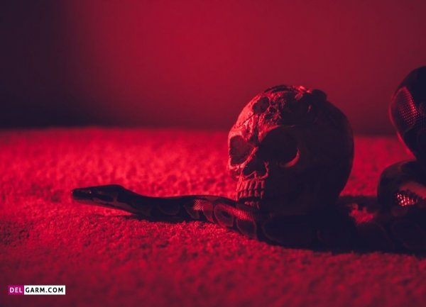  عکس اسکلت خفن برای پس زمینه