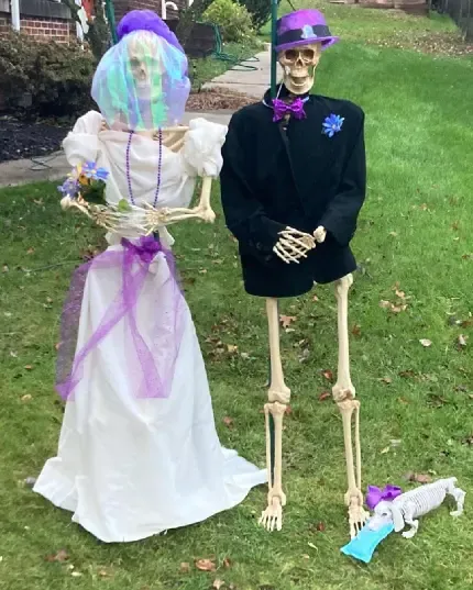  عکس اسکلت خفن برای پس زمینه