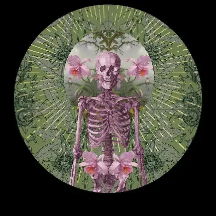  عکس اسکلت خفن برای پس زمینه