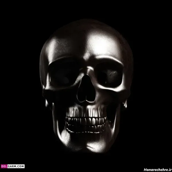  عکس اسکلت برای صفحه گوشی