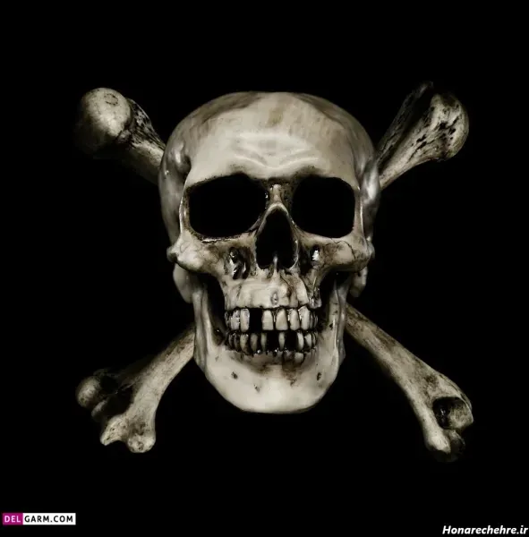  عکس اسکلت برای صفحه گوشی