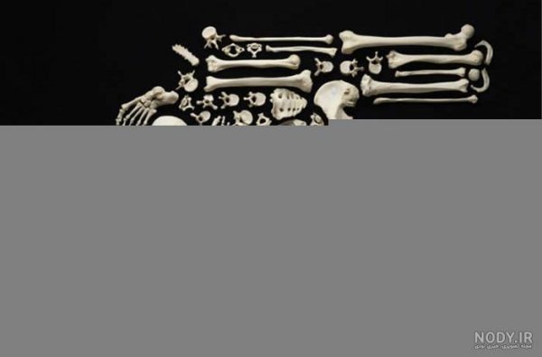  عکس اسکلت با تفنگ