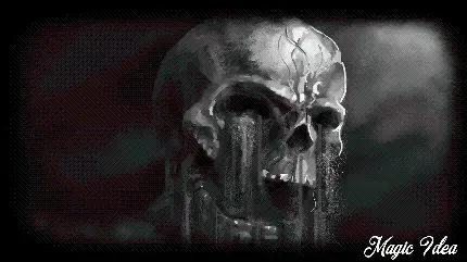  عکس اسکلت با تفنگ