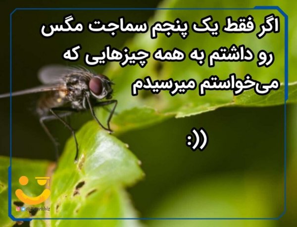  عکس نوشته انگیزشی کنکور