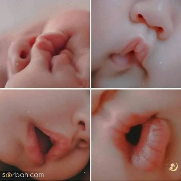  عکس های دخترونه بدون متن جدید