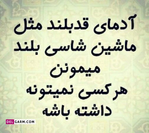  عکس تبریک روز قد بلندها برای استوری