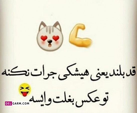  دانلود عکس پروفایل روز جهانی قد بلندها