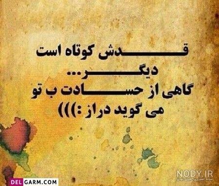  دانلود عکس پروفایل روز جهانی قد بلندها