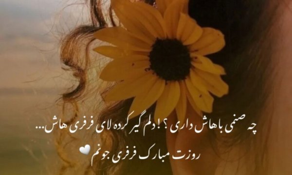  عکس نوشته روز جهانی مو فرفری ها