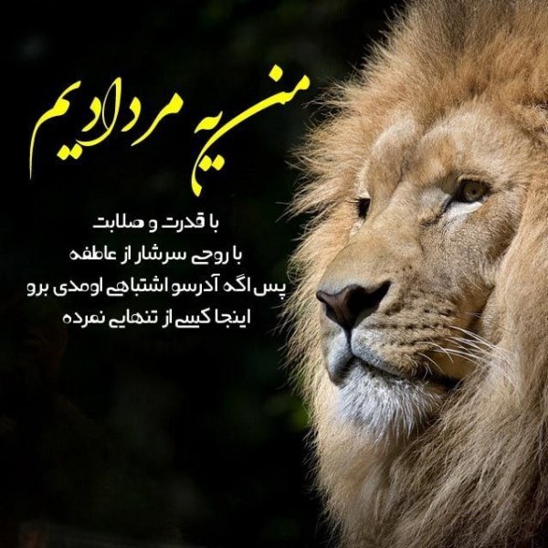  عکس مرداد ماهی