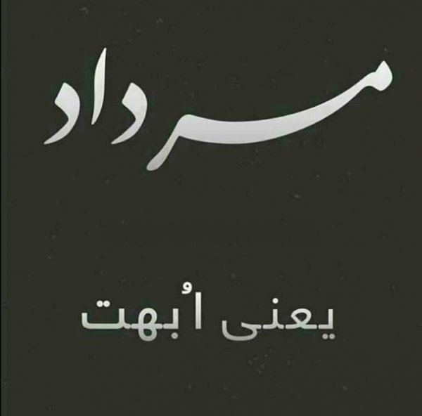  عکس مرداد ماهی