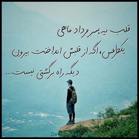  عکس پروفایل مرداد ماهی