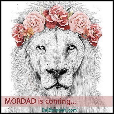  عکس پروفایل مرداد ماهی