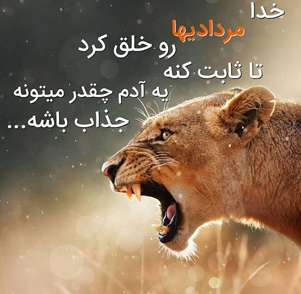  عکس تولد مرداد ماهی پسرونه