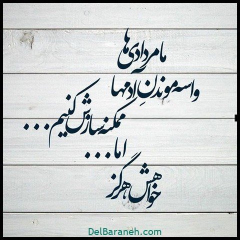  عکس تولد مرداد ماهی پسرونه