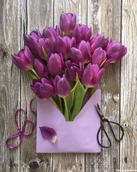  عکس تبریک تولد فروردین ماهی