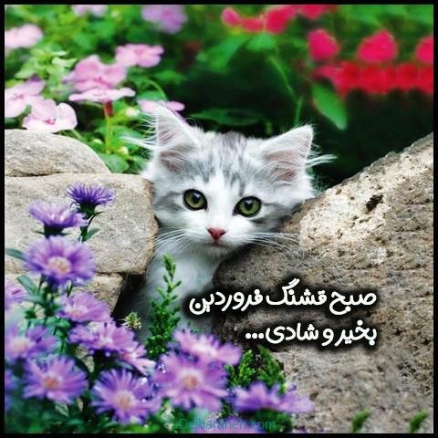  عکس فروردین ماه