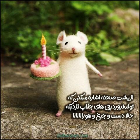  عکس فروردین ماه