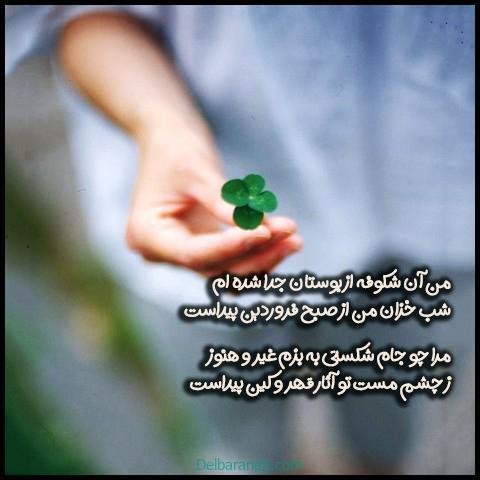  عکس فروردین ماه