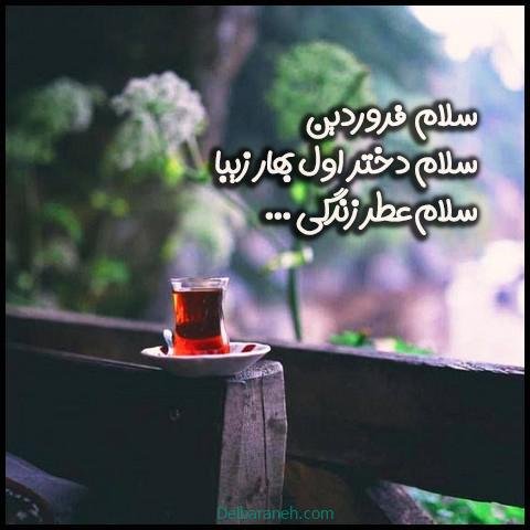  استوری تولد فروردین ماهی