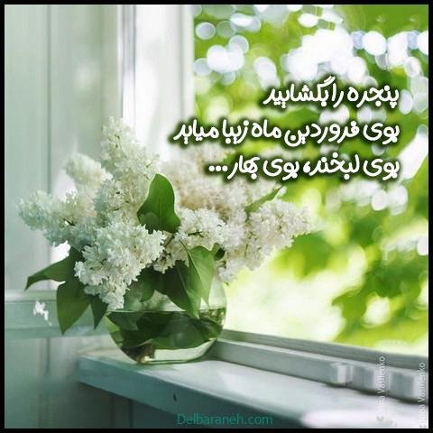  استوری تولد فروردین ماهی