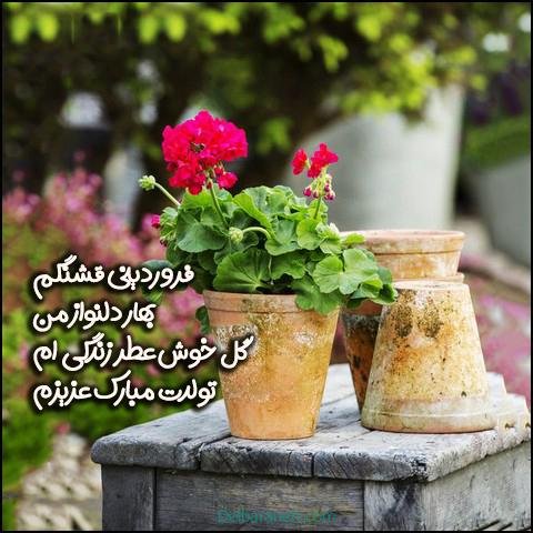  استوری تولد فروردین ماهی