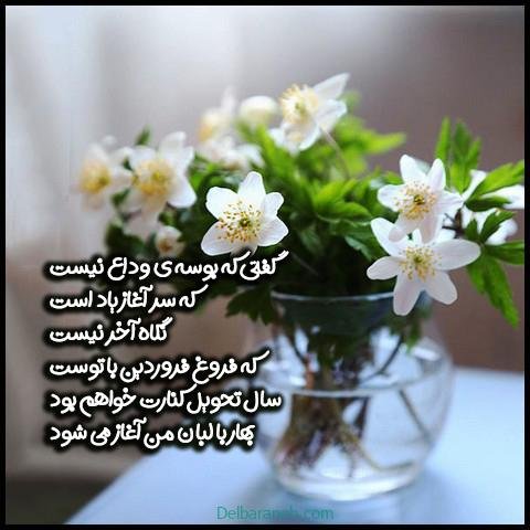  استوری تولد فروردین ماهی