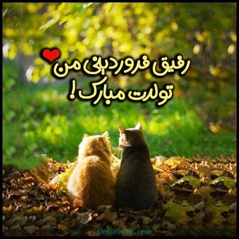  استوری تولد فروردین ماهی