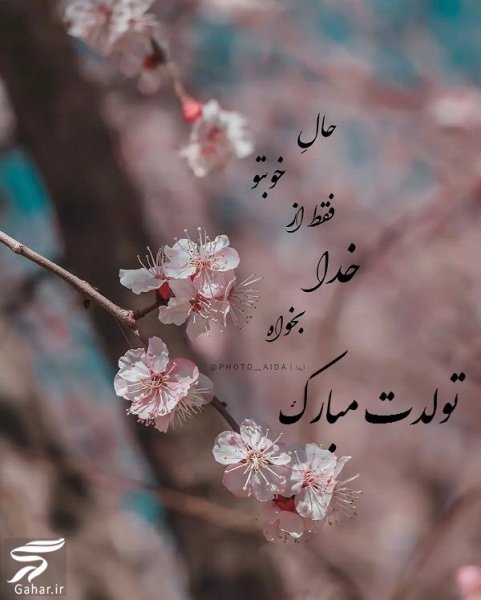  عکس تولد همسر فروردین ماهی