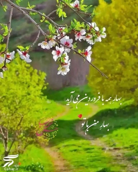  عکس تولد همسر فروردین ماهی