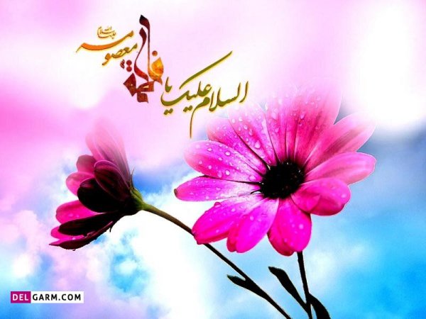  عکس ولادت حضرت معصومه