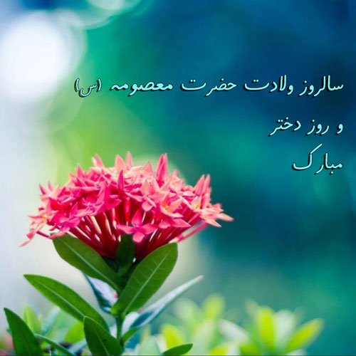  عکس تولد حضرت معصومه مبارک