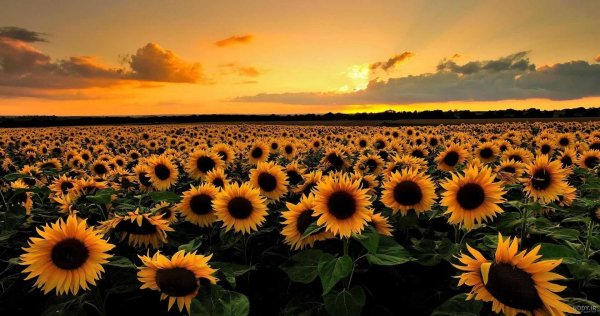  بک گراند لپ تاپ فانتزی