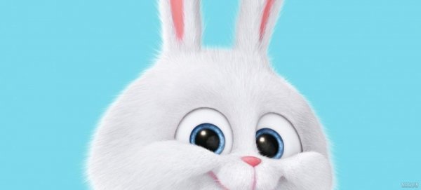  بک گراند لپ تاپ فانتزی