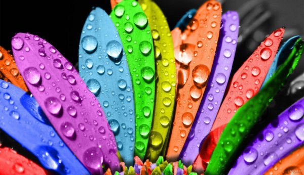  بک گراند لپ تاپ فانتزی