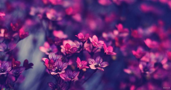  بک گراند لپ تاپ فانتزی