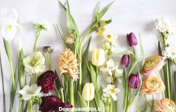  بک گراند لپ تاپ پینترست