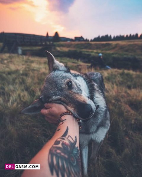  دانلود بک گراند خاص پسرانه با کیفیت