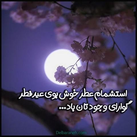  دانلود عکس پروفایل عید فطر مبارک